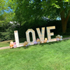 XL 'LOVE' Lichtletters